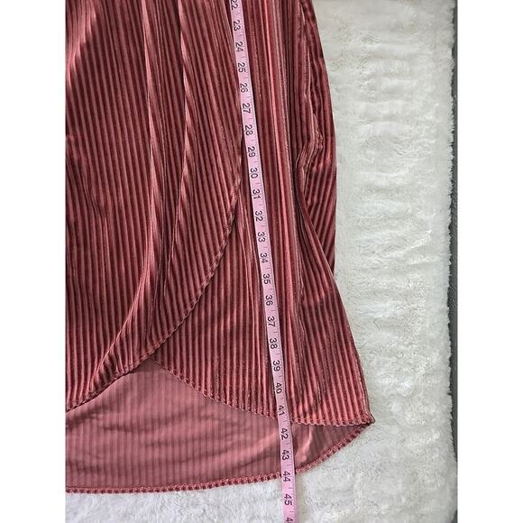 Sunday in Brooklyn Anthro Pink Rose Plisse Velvet Romantic Feminine Dress Medium - Picture 13 of 13